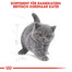 ROYAL CANIN British Shorthair Kittenfutter trocken für BKH Kätzchen 10 kg