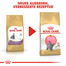 ROYAL CANIN British Shorthair Kittenfutter trocken für BKH Kätzchen 10 kg
