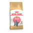 ROYAL CANIN British Shorthair Kittenfutter trocken für BKH Kätzchen 10 kg