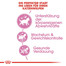 ROYAL CANIN KITTEN Sterilised Kittenfutter für kastrierte Kätzchen 400 g