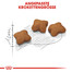 ROYAL CANIN KITTEN Sterilised Kittenfutter für kastrierte Kätzchen 400 g