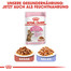 ROYAL CANIN KITTEN Sterilised Kittenfutter für kastrierte Kätzchen 400 g