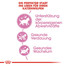 ROYAL CANIN KITTEN Trockenfutter für Kätzchen 10 kg