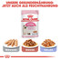 ROYAL CANIN KITTEN Trockenfutter für Kätzchen 10 kg