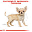 ROYAL CANIN Chihuahua Puppy Welpenfutter trocken 1,5 kg