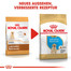ROYAL CANIN Labrador Retriever Puppy Welpenfutter trocken 3 kg