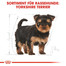 ROYAL CANIN Yorkshire Terrier Puppy Welpenfutter trocken 7.5 kg