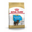 ROYAL CANIN Yorkshire Terrier Puppy Welpenfutter trocken 7.5 kg