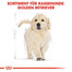 ROYAL CANIN Golden Retriever Puppy Welpenfutter trocken 12 kg
