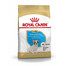 ROYAL CANIN French Bulldog Puppy Welpenfutter trocken für Französische Bulldoggen 10 kg