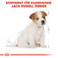 ROYAL CANIN Jack Russell Terrier Puppy Welpenfutter trocken 1,5 kg