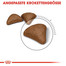 ROYAL CANIN Hairball Care Katzenfutter trocken gegen Haarballen 10 kg
