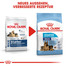 ROYAL CANIN MAXI Starter für tragende Hündin und Welpen 15 kg