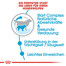 ROYAL CANIN GIANT Starter für tragende Hündin und Welpen 15 kg