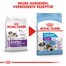 ROYAL CANIN GIANT Starter für tragende Hündin und Welpen 15 kg