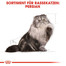 ROYAL CANIN Persian Adult Katzenfutter nass für Perser-Katzen 12 x 85g
