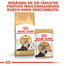 ROYAL CANIN Persian Adult Katzenfutter nass für Perser-Katzen 12 x 85g