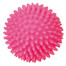 TRIXIE Igelball, Vinyl ø 7 cm