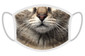 FERA Schutzmaske Katze