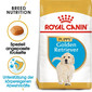 ROYAL CANIN Golden Retriever Puppy Welpenfutter trocken 12 kg